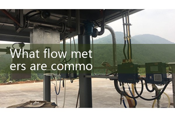 Flow meter for measuring steam